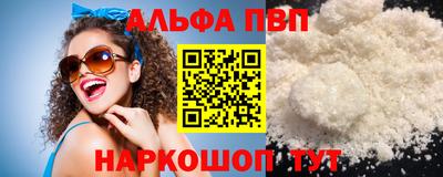 ешки Кингисепп